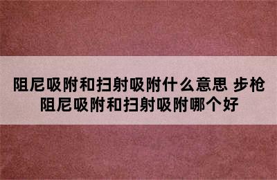 阻尼吸附和扫射吸附什么意思 步枪阻尼吸附和扫射吸附哪个好